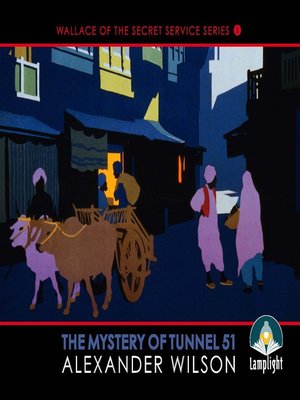 cover image of The Mystery of Tunnel 51
